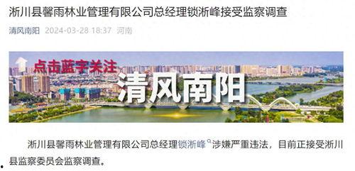 河南爆料热线最新消息,揭秘重大事件背后真相! 第3张 河南爆料热线最新消息,揭秘重大事件背后真相! 第3张